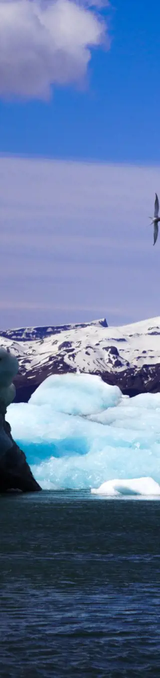 Wie wäre es mit einer Kayaktour in der Jökulsárlón-Gletscherlagune?
